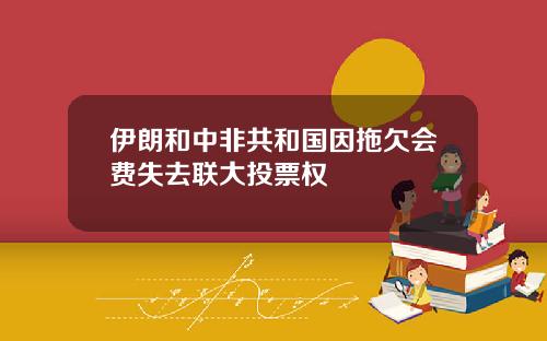 伊朗和中非共和国因拖欠会费失去联大投票权