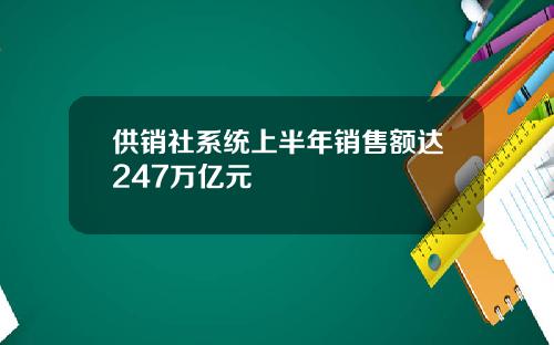 供销社系统上半年销售额达247万亿元