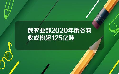 俄农业部2020年俄谷物收成将超125亿吨