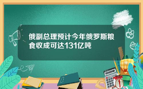 俄副总理预计今年俄罗斯粮食收成可达131亿吨