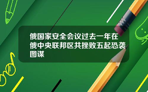 俄国家安全会议过去一年在俄中央联邦区共挫败五起恐袭图谋