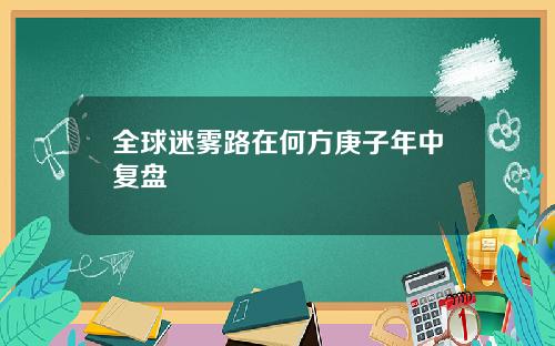 全球迷雾路在何方庚子年中复盘