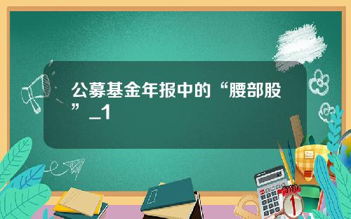 公募基金年报中的“腰部股”_1