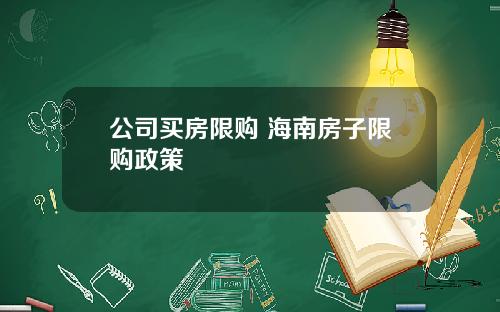 公司买房限购 海南房子限购政策