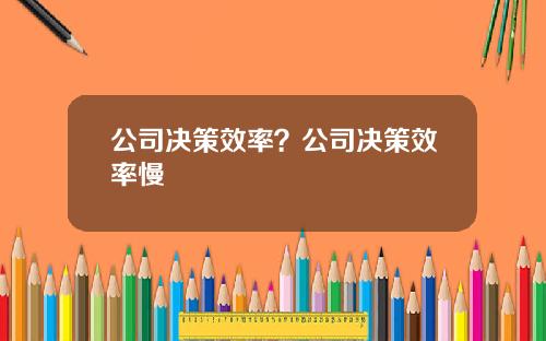 公司决策效率？公司决策效率慢