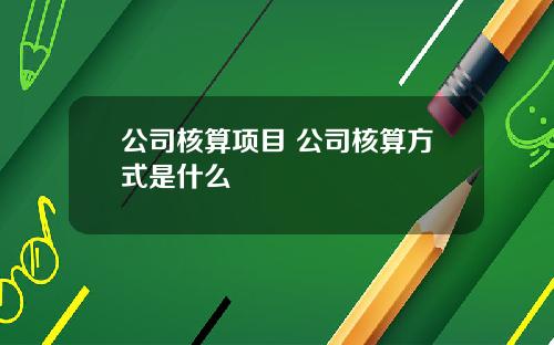 公司核算项目 公司核算方式是什么