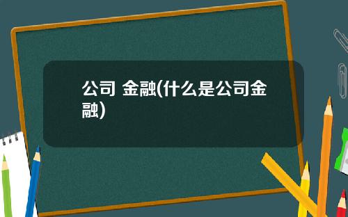 公司 金融(什么是公司金融)