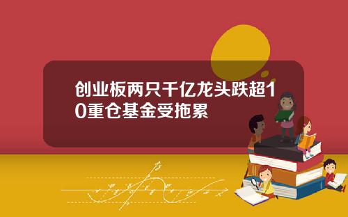 创业板两只千亿龙头跌超10重仓基金受拖累