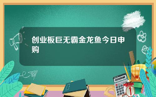 创业板巨无霸金龙鱼今日申购