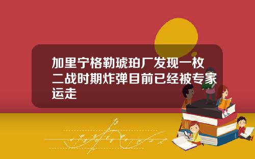 加里宁格勒琥珀厂发现一枚二战时期炸弹目前已经被专家运走