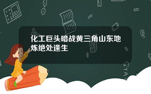 化工巨头暗战黄三角山东地炼绝处逢生