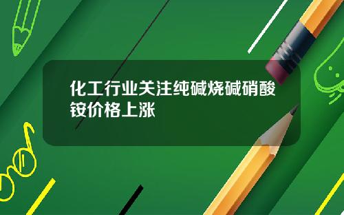 化工行业关注纯碱烧碱硝酸铵价格上涨
