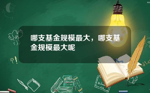 哪支基金规模最大，哪支基金规模最大呢