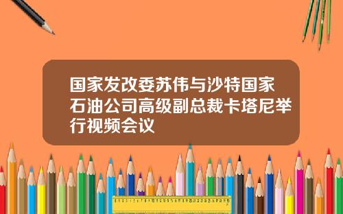 国家发改委苏伟与沙特国家石油公司高级副总裁卡塔尼举行视频会议