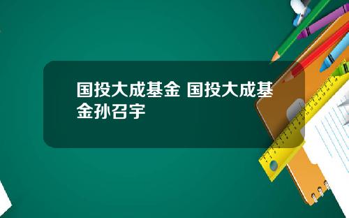 国投大成基金 国投大成基金孙召宇
