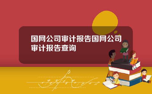 国网公司审计报告国网公司审计报告查询