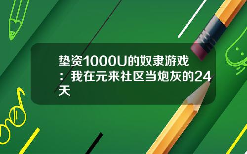 垫资1000U的奴隶游戏：我在元来社区当炮灰的24天