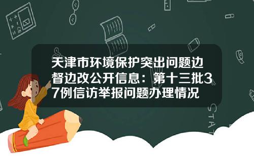 天津市环境保护突出问题边督边改公开信息：第十三批37例信访举报问题办理情况