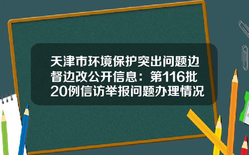 天津市环境保护突出问题边督边改公开信息：第116批20例信访举报问题办理情况