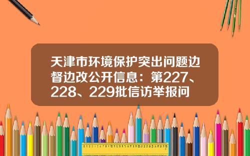天津市环境保护突出问题边督边改公开信息：第227、228、229批信访举报问题办理情况
