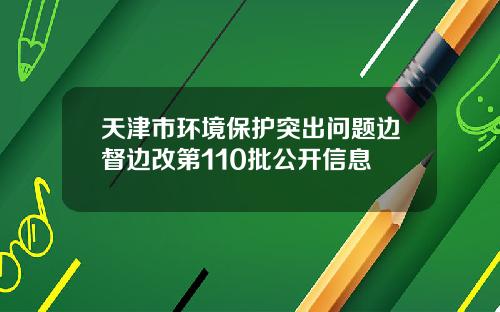 天津市环境保护突出问题边督边改第110批公开信息