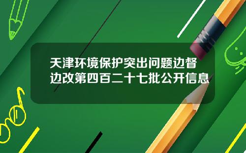 天津环境保护突出问题边督边改第四百二十七批公开信息