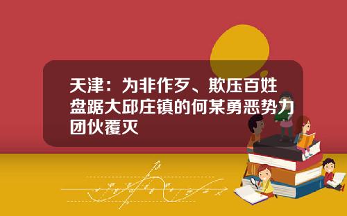 天津：为非作歹、欺压百姓盘踞大邱庄镇的何某勇恶势力团伙覆灭