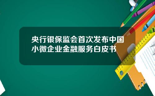 央行银保监会首次发布中国小微企业金融服务白皮书