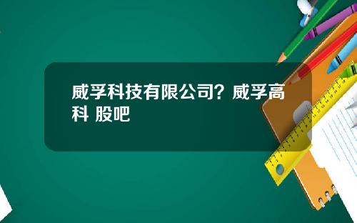 威孚科技有限公司？威孚高科 股吧
