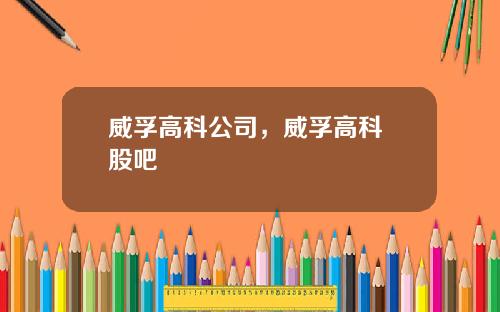 威孚高科公司，威孚高科 股吧