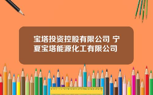 宝塔投资控股有限公司 宁夏宝塔能源化工有限公司