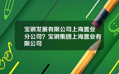 宝钢发展有限公司上海置业分公司？宝钢集团上海置业有限公司