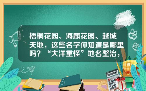 梧桐花园、海麒花园、越城天地，这些名字你知道是哪里吗？“大洋重怪”地名整治，南京一批楼盘改名了