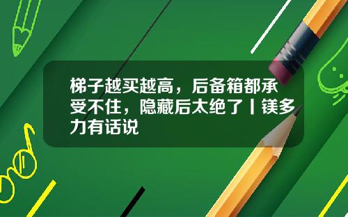 梯子越买越高，后备箱都承受不住，隐藏后太绝了丨镁多力有话说