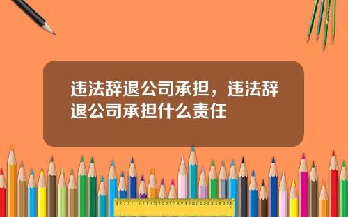 违法辞退公司承担，违法辞退公司承担什么责任
