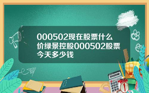 000502现在股票什么价绿景控股000502股票今天多少钱