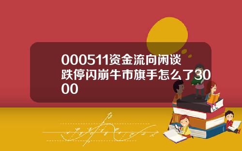000511资金流向闲谈跌停闪崩牛市旗手怎么了3000
