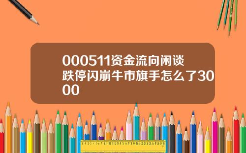 000511资金流向闲谈跌停闪崩牛市旗手怎么了3000