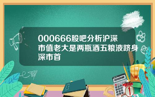 000666股吧分析沪深市值老大是两瓶酒五粮液跻身深市首