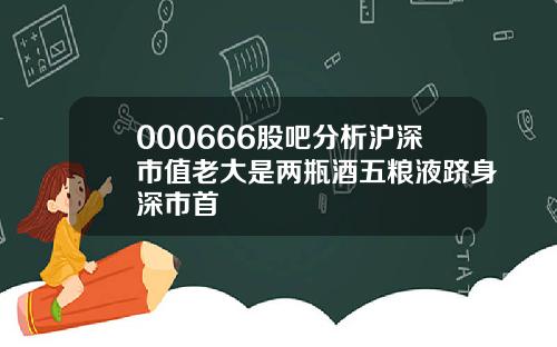 000666股吧分析沪深市值老大是两瓶酒五粮液跻身深市首