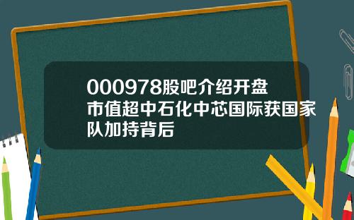 000978股吧介绍开盘市值超中石化中芯国际获国家队加持背后