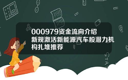 000979资金流向介绍新规激活新能源汽车股潜力机构扎堆推荐