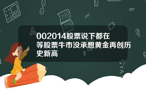 002014股票说下都在等股票牛市没承想黄金再创历史新高