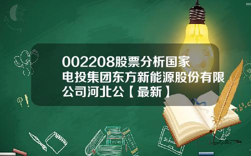 002208股票分析国家电投集团东方新能源股份有限公司河北公【最新】