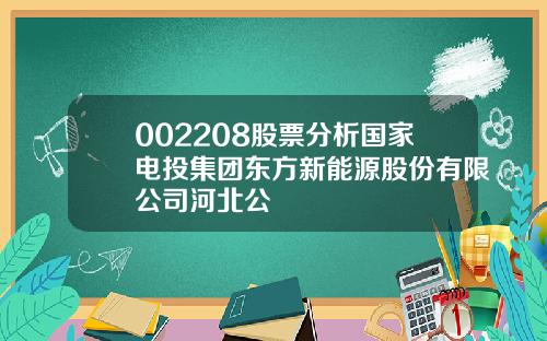 002208股票分析国家电投集团东方新能源股份有限公司河北公