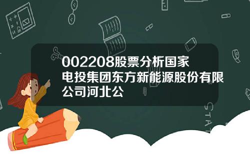 002208股票分析国家电投集团东方新能源股份有限公司河北公