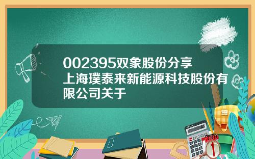 002395双象股份分享上海璞泰来新能源科技股份有限公司关于