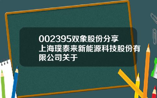 002395双象股份分享上海璞泰来新能源科技股份有限公司关于