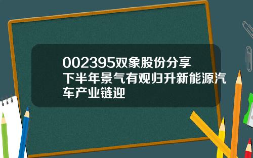 002395双象股份分享下半年景气有观归升新能源汽车产业链迎