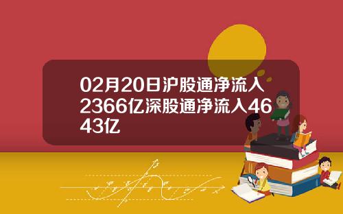 02月20日沪股通净流入2366亿深股通净流入4643亿